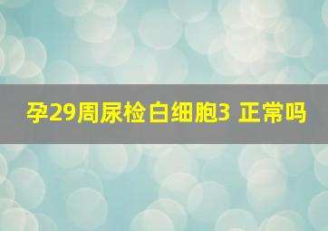 孕29周尿检白细胞3 正常吗